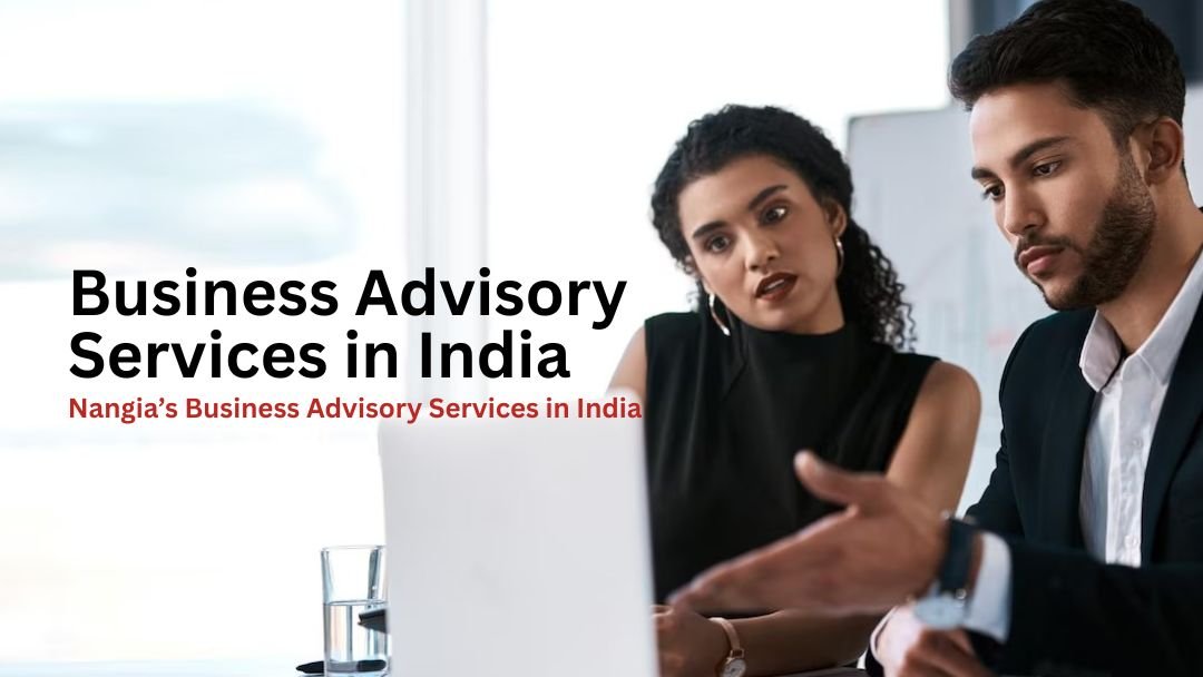 Business Advisory Services in India