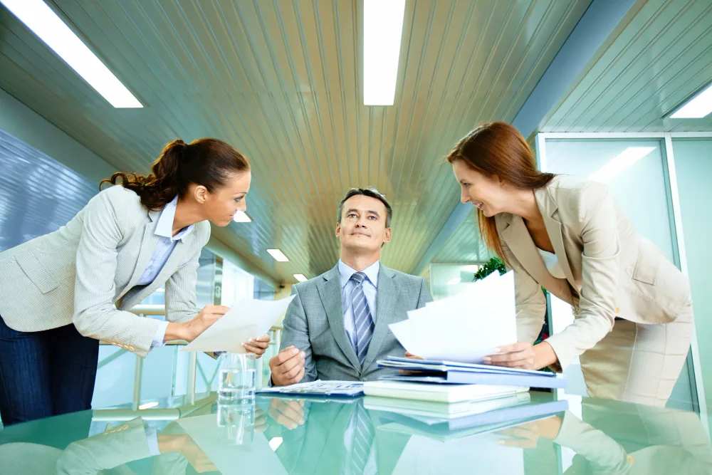 What Is Government and Public Sector Consulting A Complete Guide